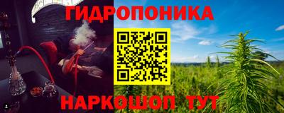 гидра Тулун