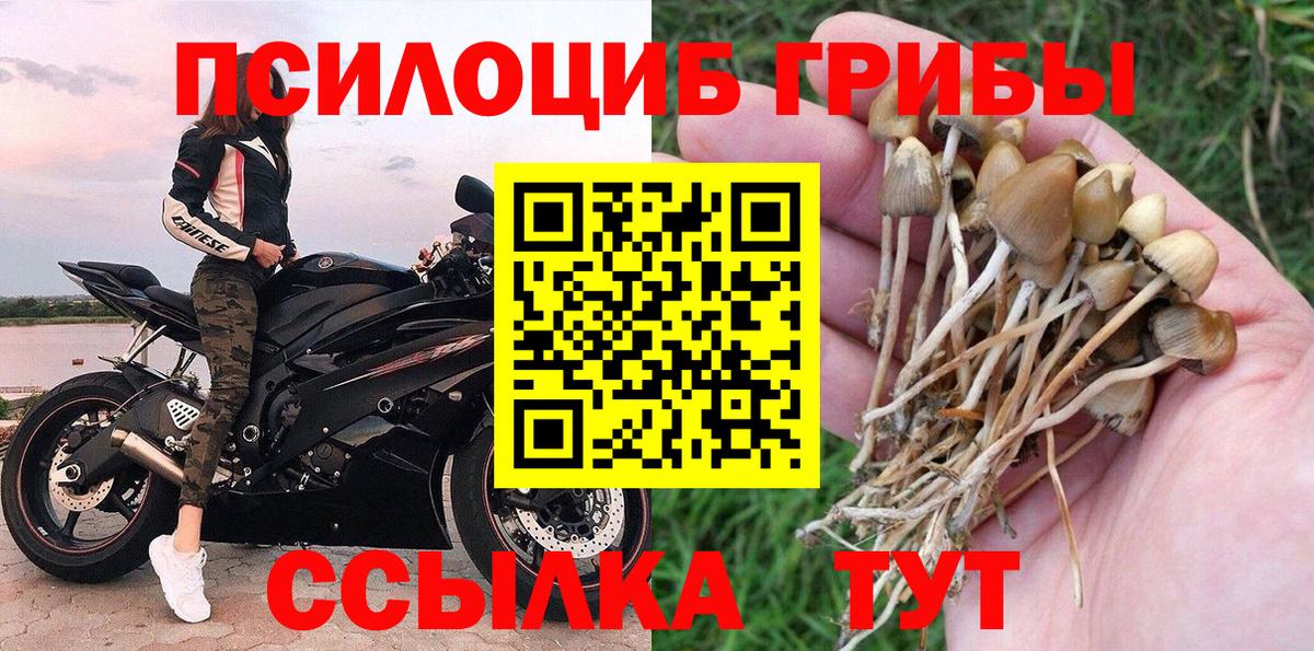 Псилоцибиновые грибы ЛСД  Галлюциногенные грибы Cubensis  Минусинск  что такое наркотик  Вход с VPN 