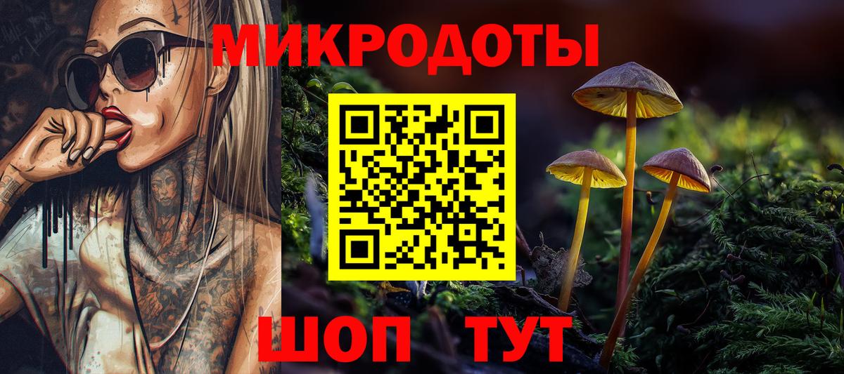 Псилоцибиновые грибы мицелий Минусинск